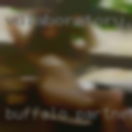 Buffalo partner