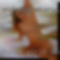 Naked girls Scottdale