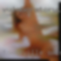 Townsville swingers